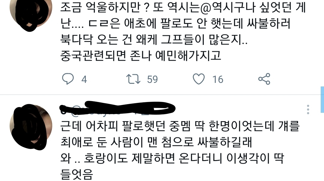 트위터에서 아이돌 중국멤버 건드리면 생기는일.jpg | 인스티즈