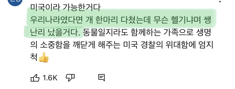 경찰견을 살리기위해 도로를 통제하고 헬기부른 미국 | 인스티즈