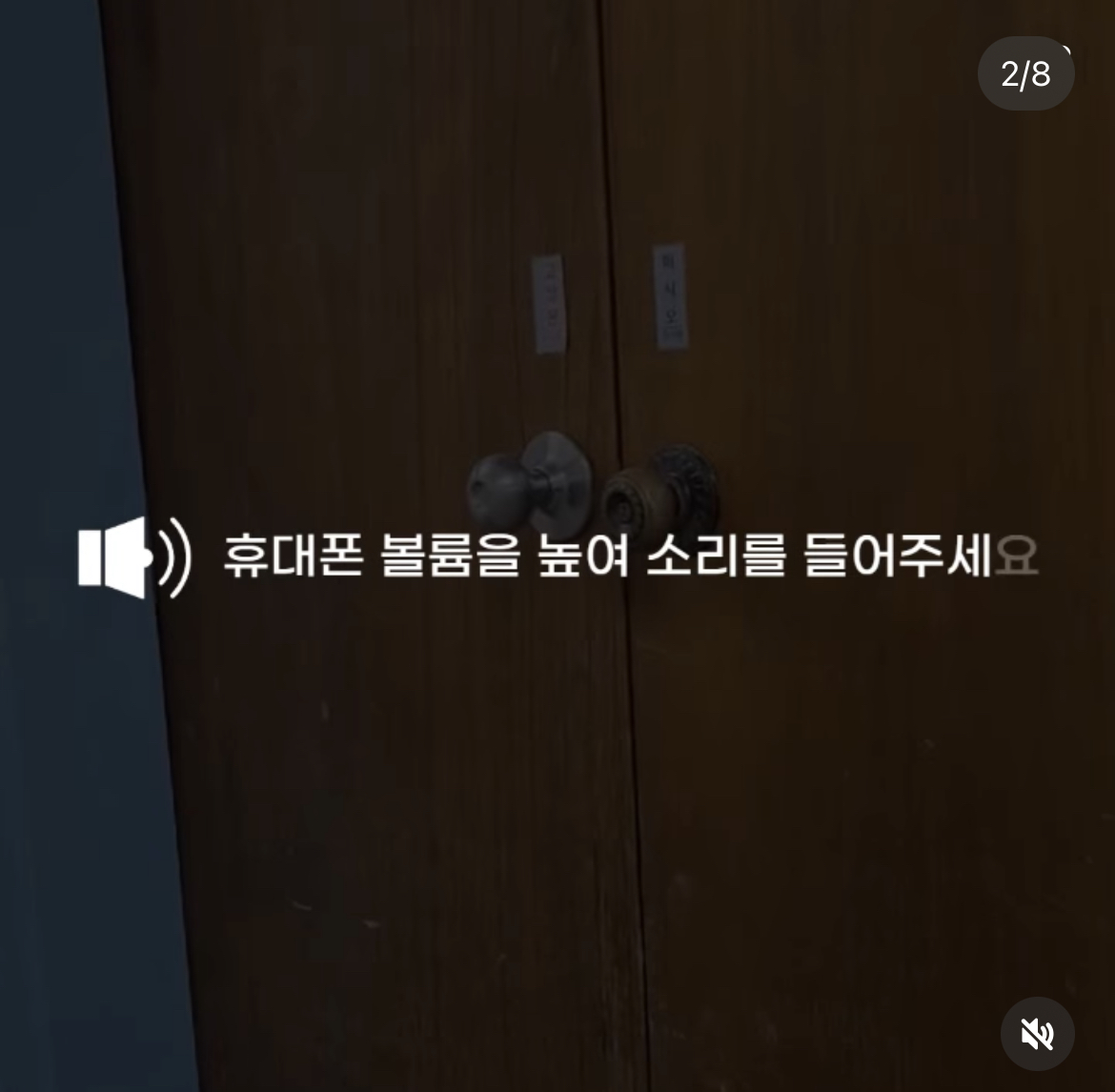 주인도 있는 마라도 고양이가 강제 방출 되어 열흘 넘게 갇혀 있는 중 | 인스티즈