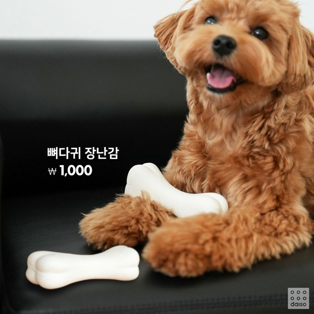 다이소 강아지용품 9월 신상 출시.jpg (노즈워크 매트가 단돈 5,000원) | 인스티즈