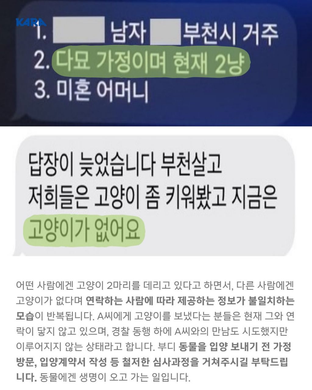급)))부천에 입양가서 생사 안되는 고양이들이 있어요 제보받습니다 | 인스티즈