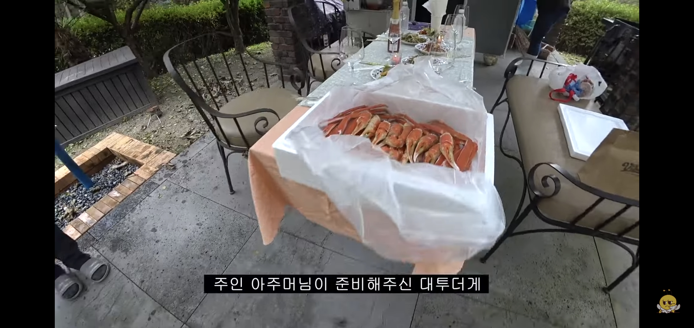 갑자기 유튜버 집에 들어온 떠돌이개가 알고보니 부잣집 도련님이었음.jpg | 인스티즈