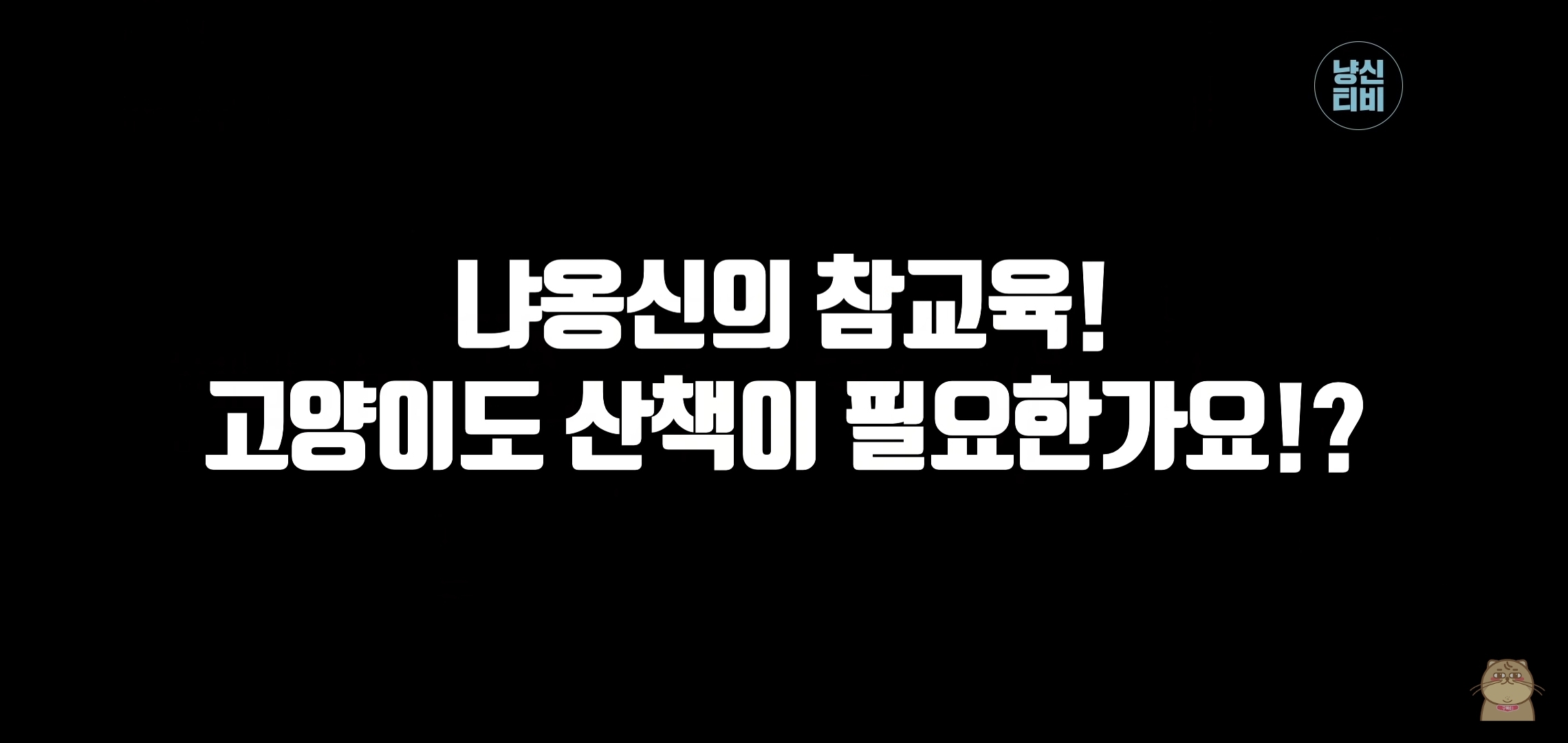 고양이 산책? 하지마!!!!! | 인스티즈