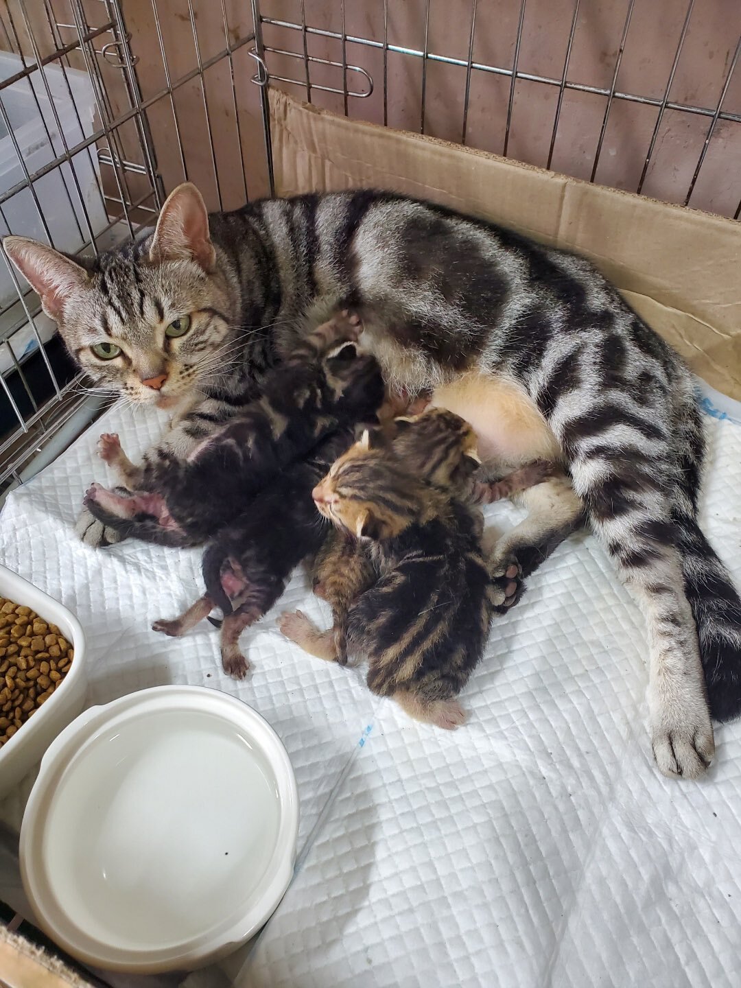 쿨톤과 웜톤 쌍둥이 | 인스티즈