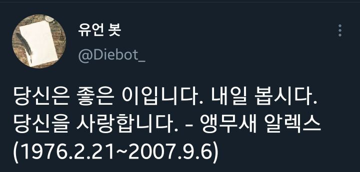 일요일 밤에 보는 각계각층 사람들의 유언.twt | 인스티즈