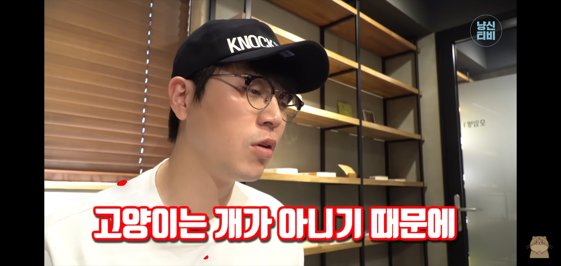 고양이 산책? 하지마!!!!! | 인스티즈