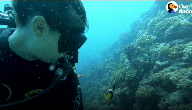 2bbe6e0caea78fbd576b69522265ce0b186e2787