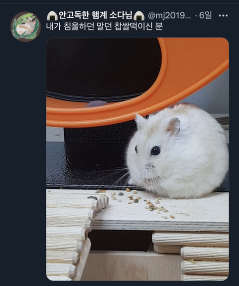 내가 침울해 하고 있으면 -가 -해준다 .twt | 인스티즈