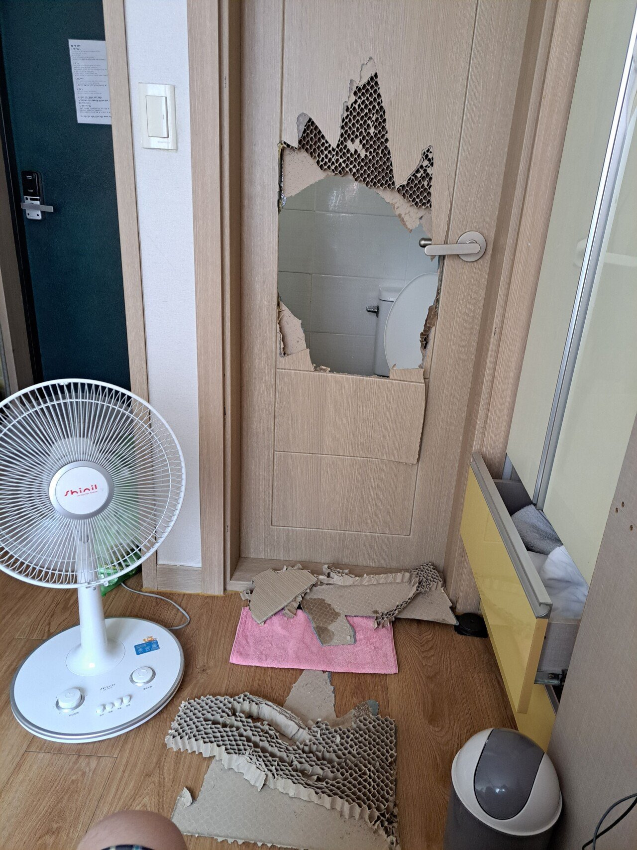 혼자 살면 화장실 문 무조건 열어놓고사셈 | 인스티즈