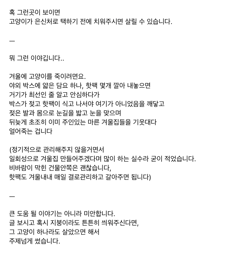 길냥이들 집 어설프게 마련해주면 오히려 죽이게 되는 결말을 맞이한대 | 인스티즈