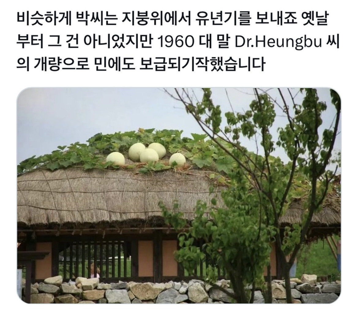 김씨집안은 다 저기서 자랍니다 | 인스티즈