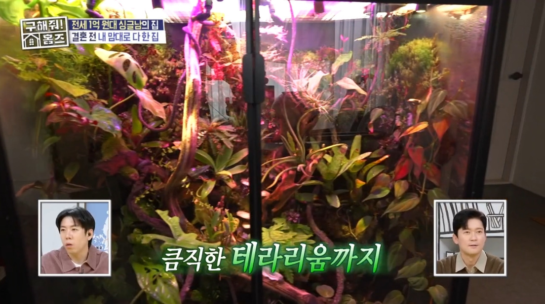 구해줘 홈즈 서울 중랑구 상봉동 전세가 1억원대인 구옥 주택 | 인스티즈