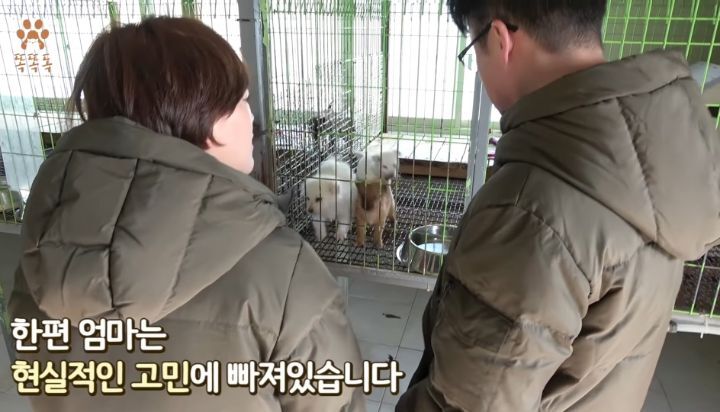 7살 아이 눈에 비친 유기견 보호소는? | 인스티즈