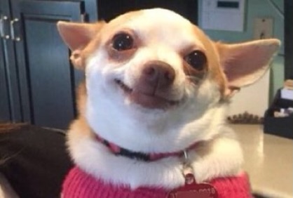 인스타 부계에 힘들때마다 올린짤 모음Zip | 인스티즈