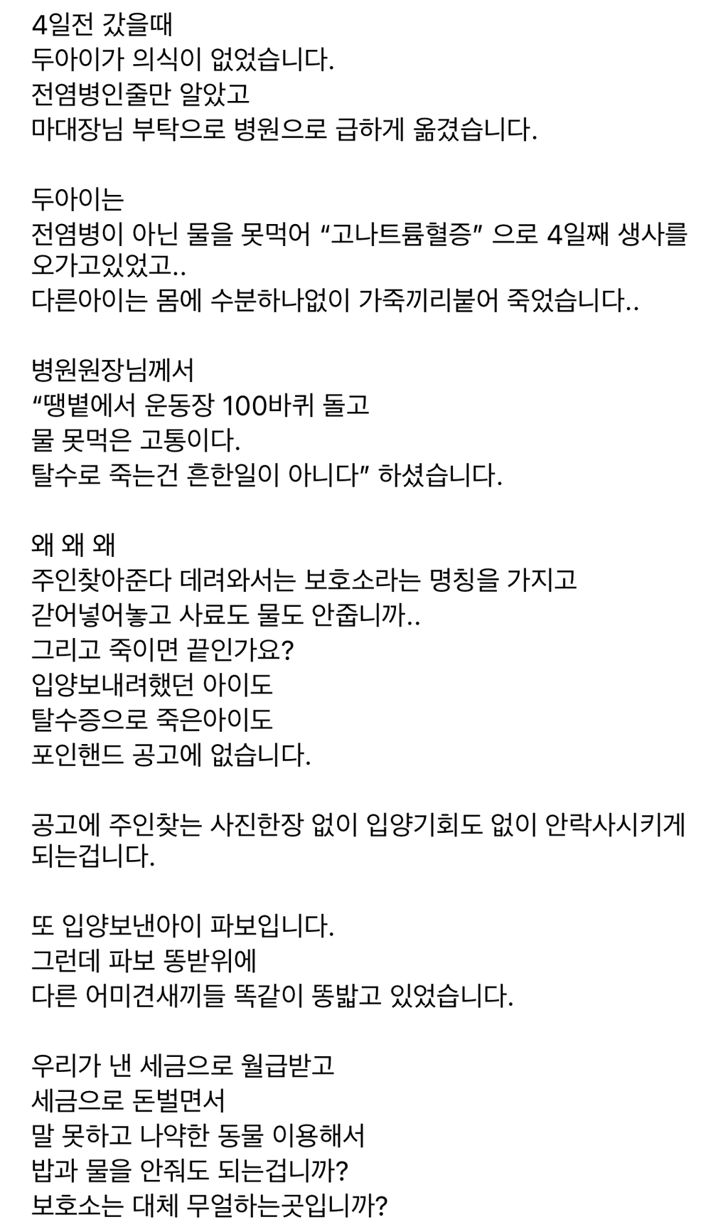 무안군 유기견보호소에서 사료와 물을 먹지 못해서 굶어죽고 말라죽는 유기견들 | 인스티즈