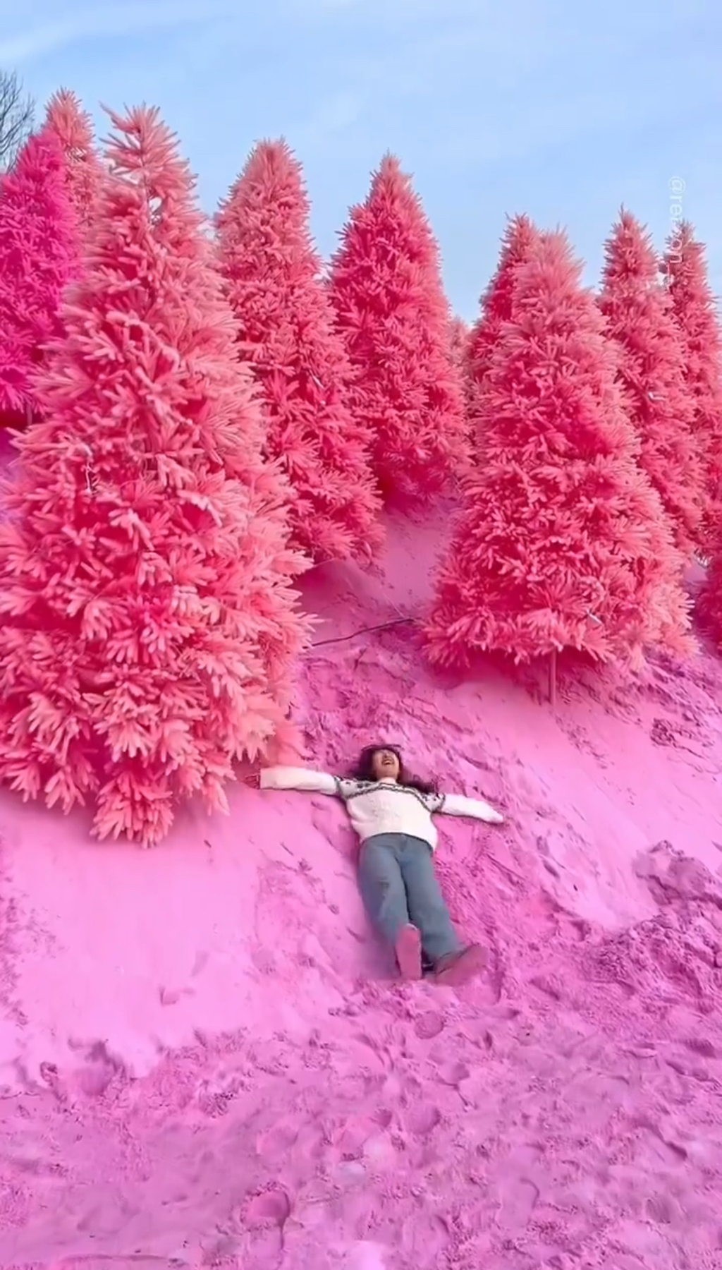 트위터에서 화제되었던 외국인이 소개하는 한국의 관광 여행지들 | 인스티즈