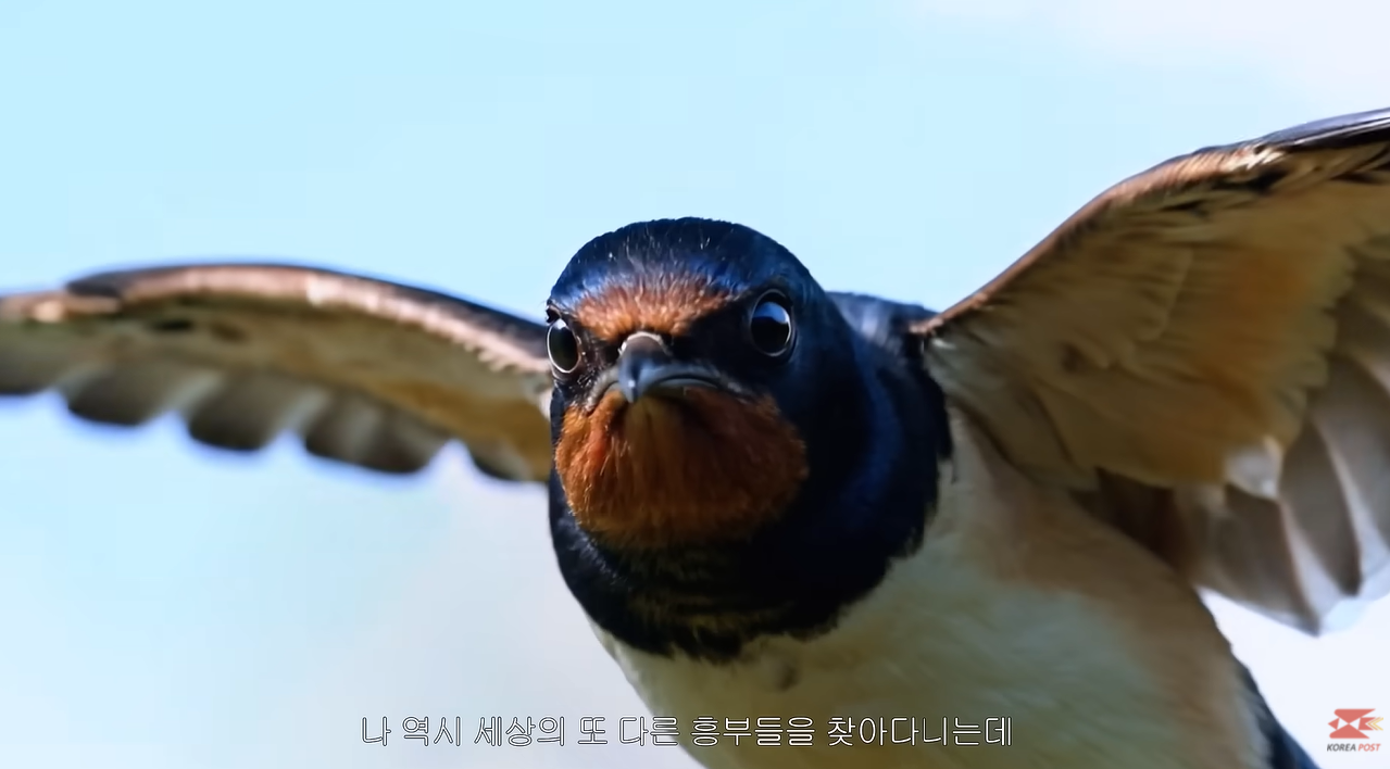 잘 어울리는 우체국 cf 모델 | 인스티즈