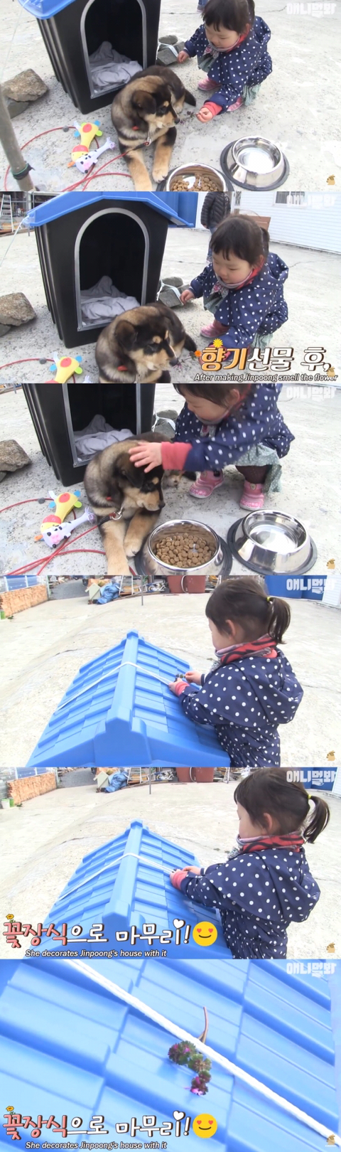 섬마을 남매가 강아지를 환영하는 완벽한 방법 | 인스티즈