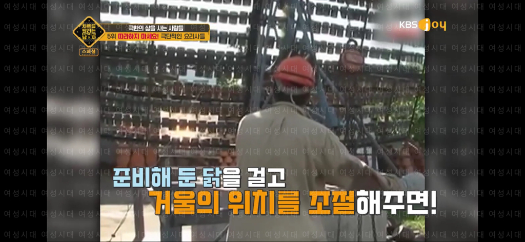 개성환경 이미지