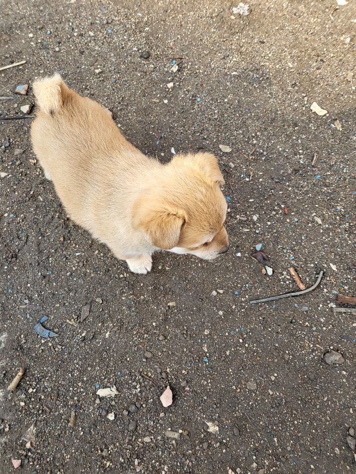 (공지라니... ++추가)새로생긴 회사 복지.. 미쳐서 도저히 일을 못하겠네.. (추가....)++추가 | 인스티즈