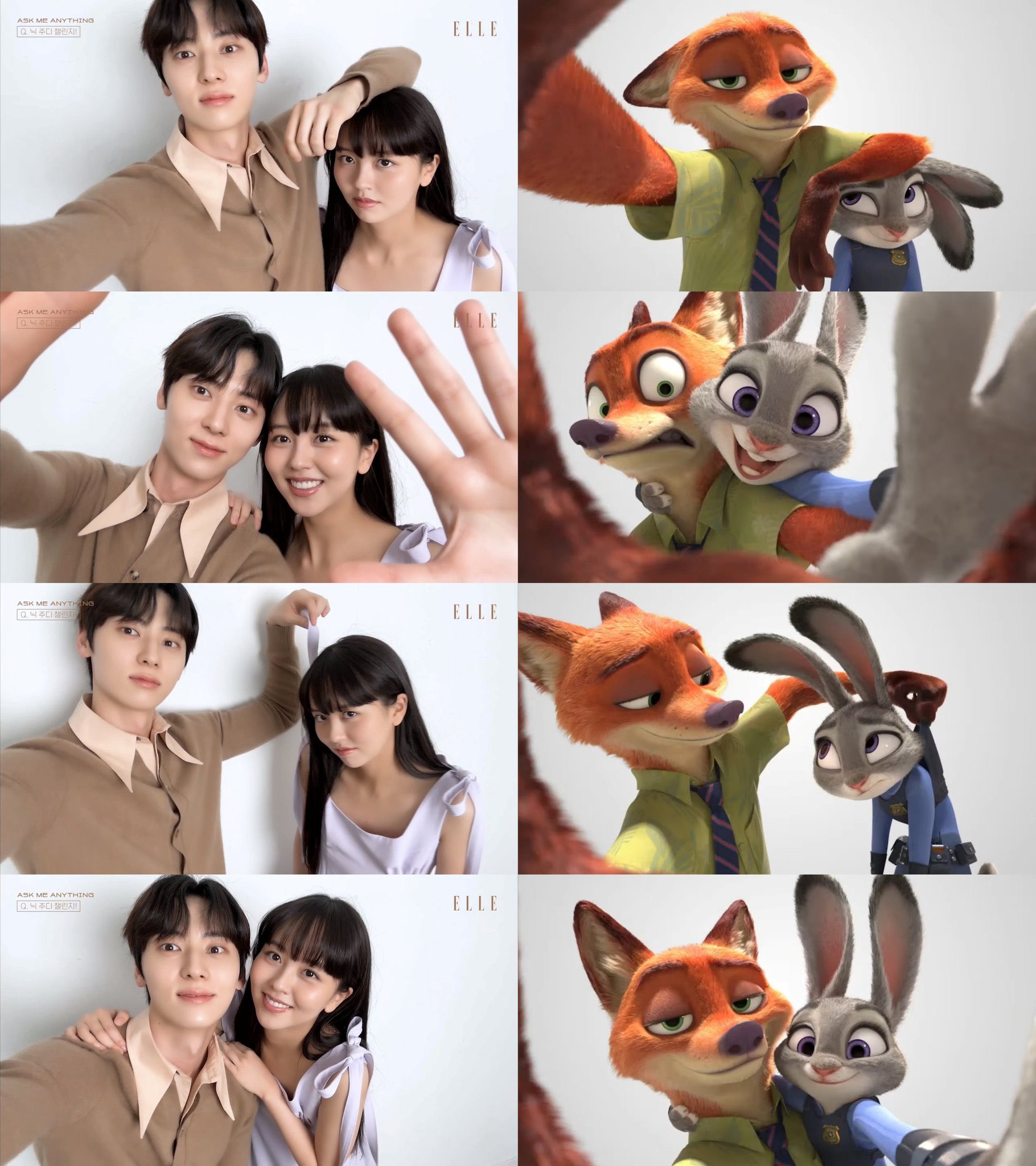 주디 이미지