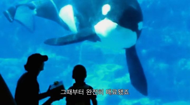 어느날 소방서에 고래가 조련사를 잡아 먹었다는 신고가 들어왔다 .jpg (스압주의) | 인스티즈