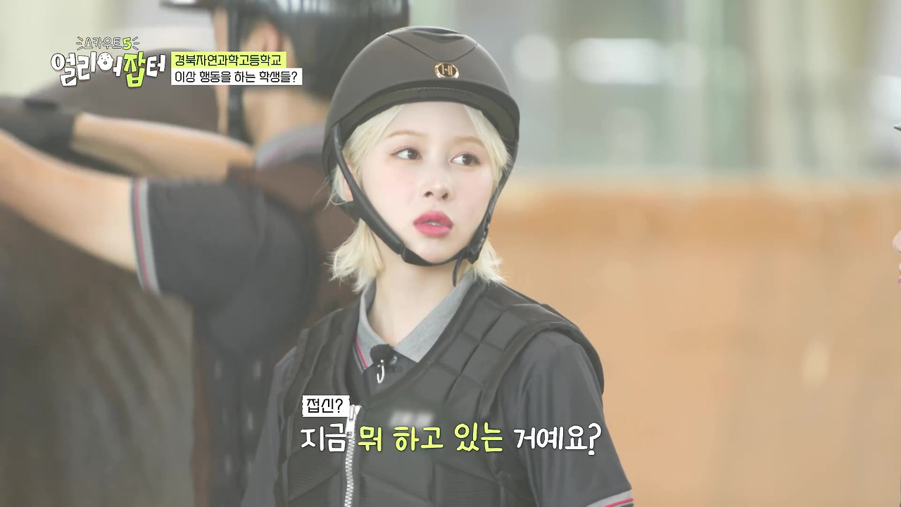 반려동물 키우는 사람들한테 도파민 터지게 만들었다는 한 고등학교 | 인스티즈