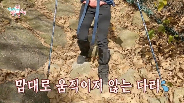 2cea30eae85a8e6c5582f4fdd5836c152596f348