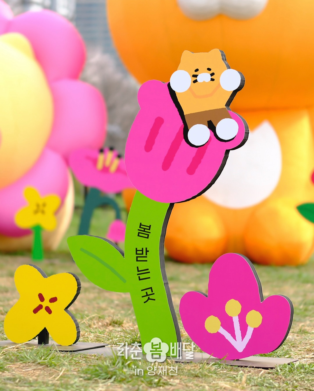 현재 서울 양재천 근황 | 인스티즈