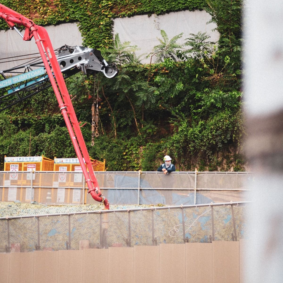 조울증 환자가 산책하면서 찍고 다닌 사진들 | 인스티즈