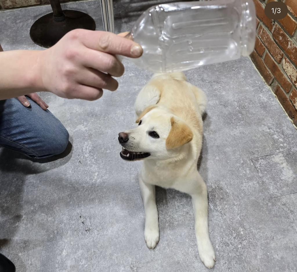 이사건 알아??정말 황당함ㅋㅋㅋㅋ | 인스티즈