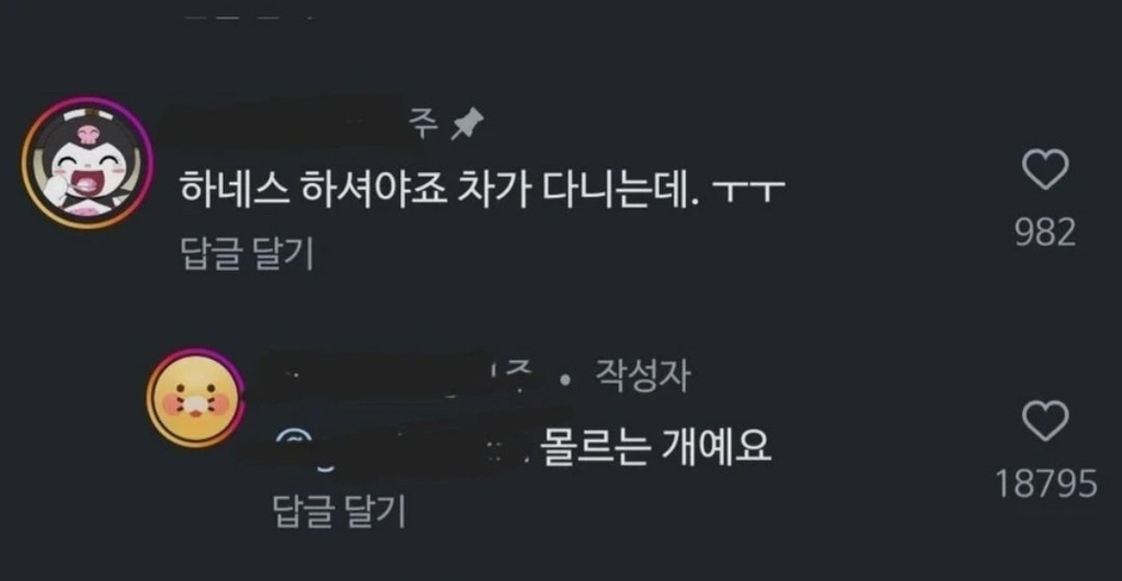 목줄 안하고 산책하는 강아지 | 인스티즈