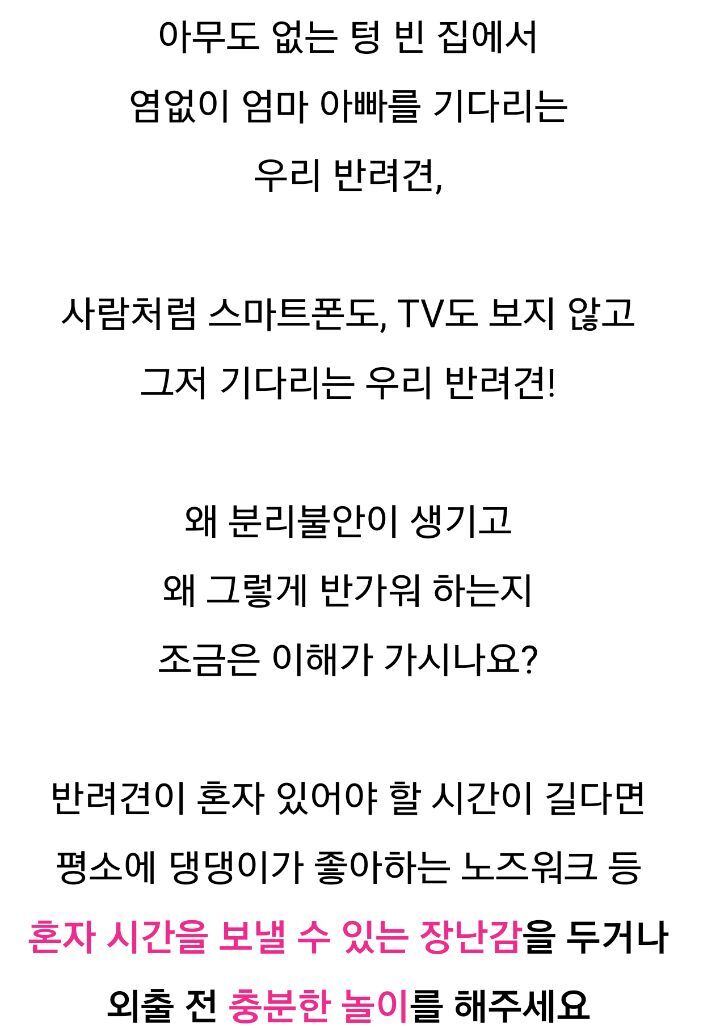 강아지의 시간...그리고 사람의 시간 | 인스티즈