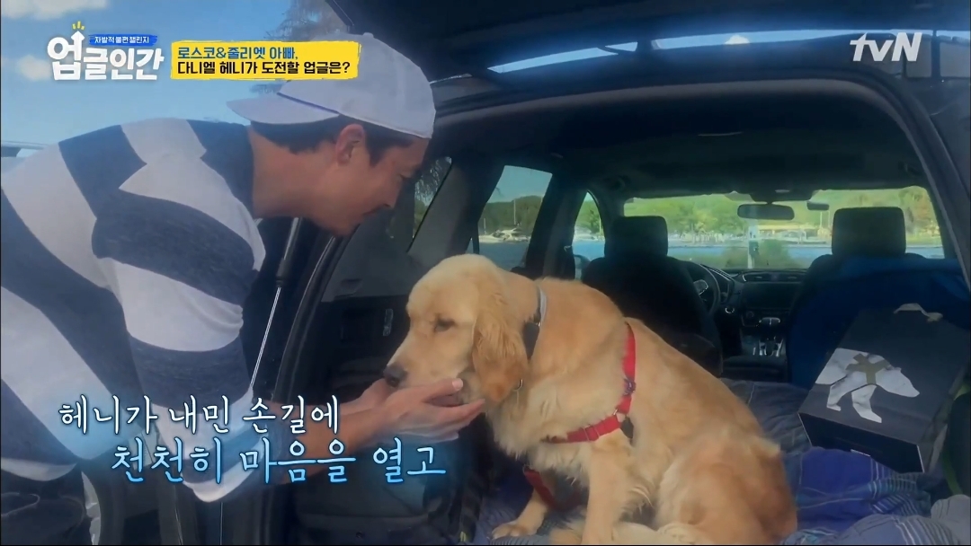 식용견 농장에서 구출된 다니엘 헤니의 강아지 로스코, 줄리엣 | 인스티즈