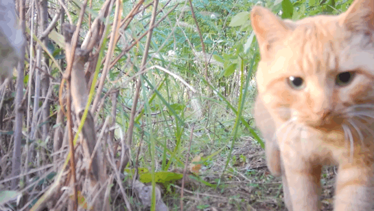 2d9a2e51ab8739120e1176a76ce4e992019cadc3