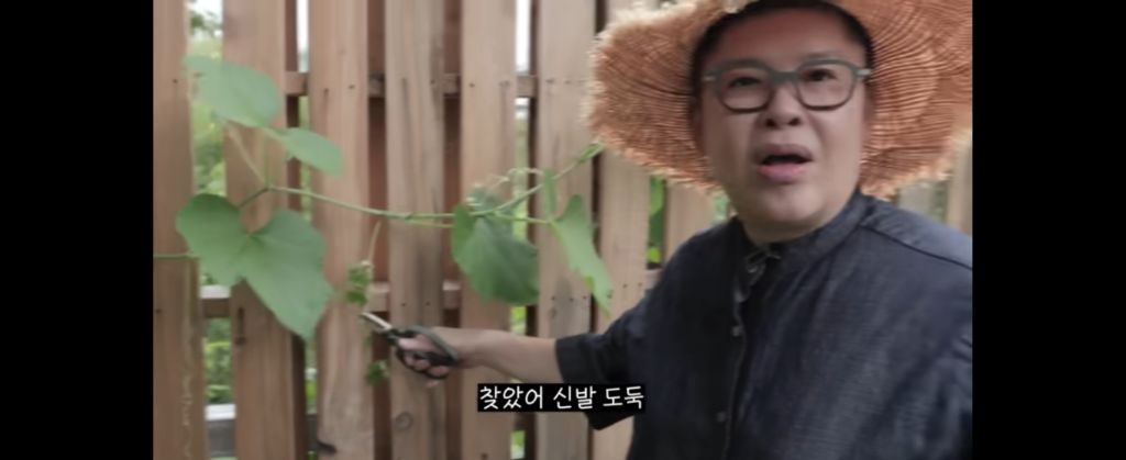 신발 물어 뜯은 고양이 찾아간 이영자 | 인스티즈