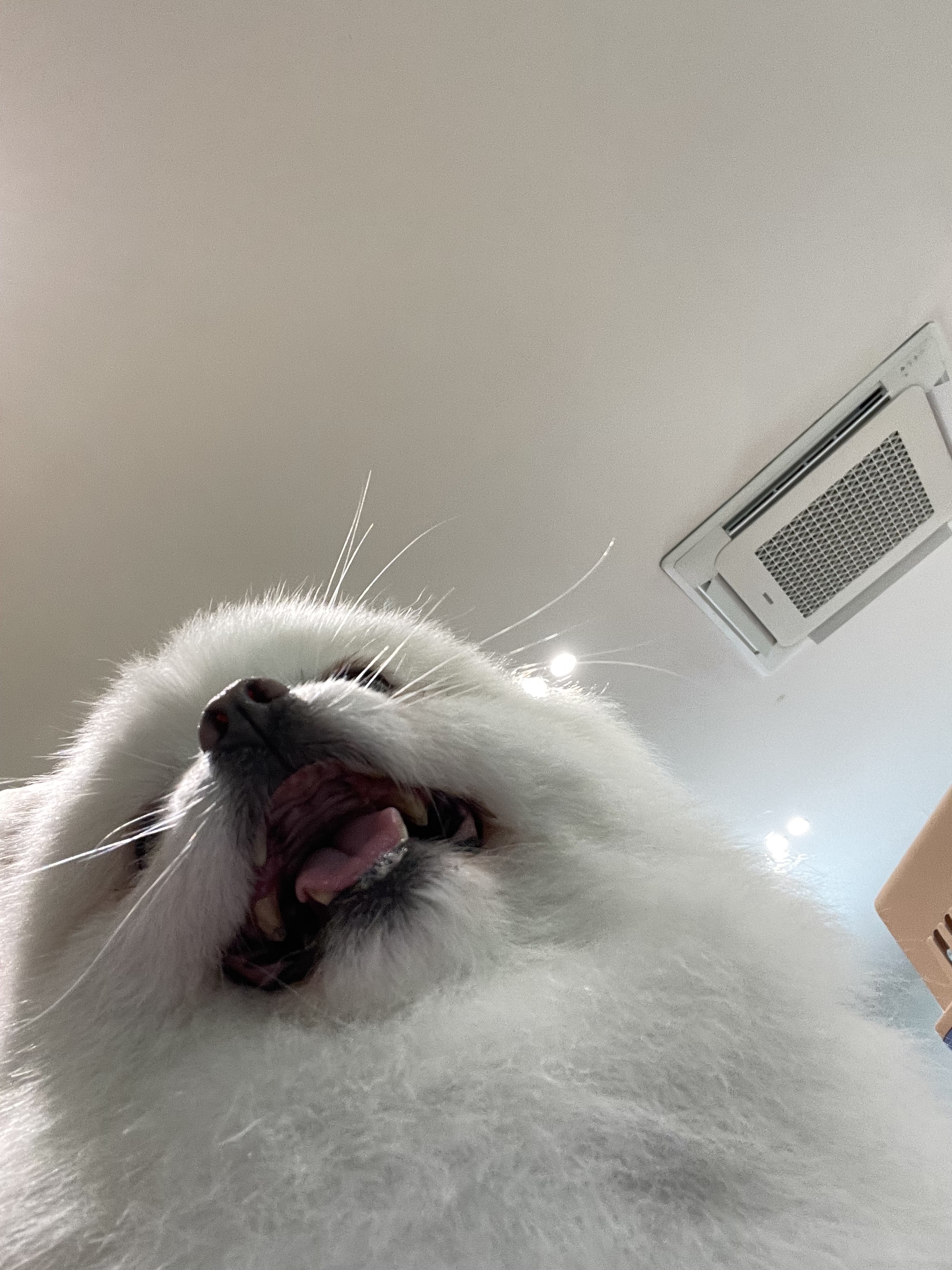 봉사 갈수록 애기들 아는척 하는 거 너무 귀여워.. | 인스티즈