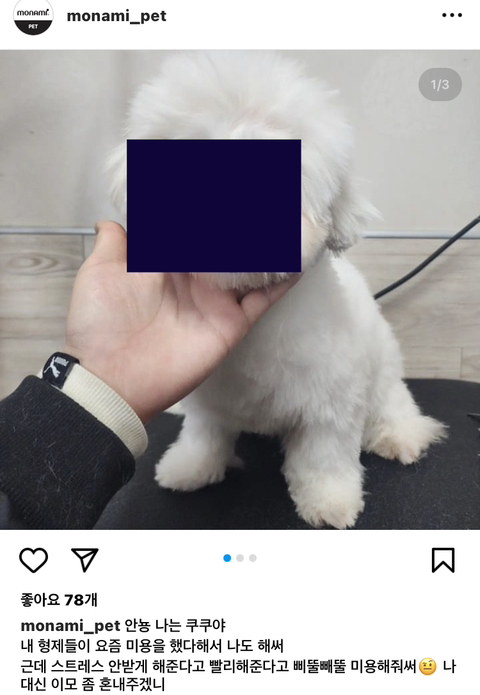 수정샵 이미지