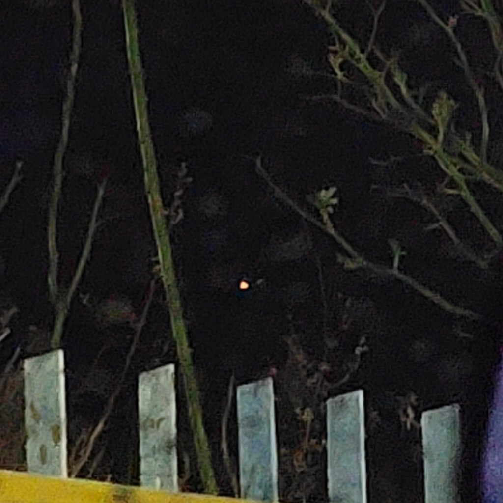 전북 무주 산불 다시 불씨 살아나는 거 같다함 | 인스티즈