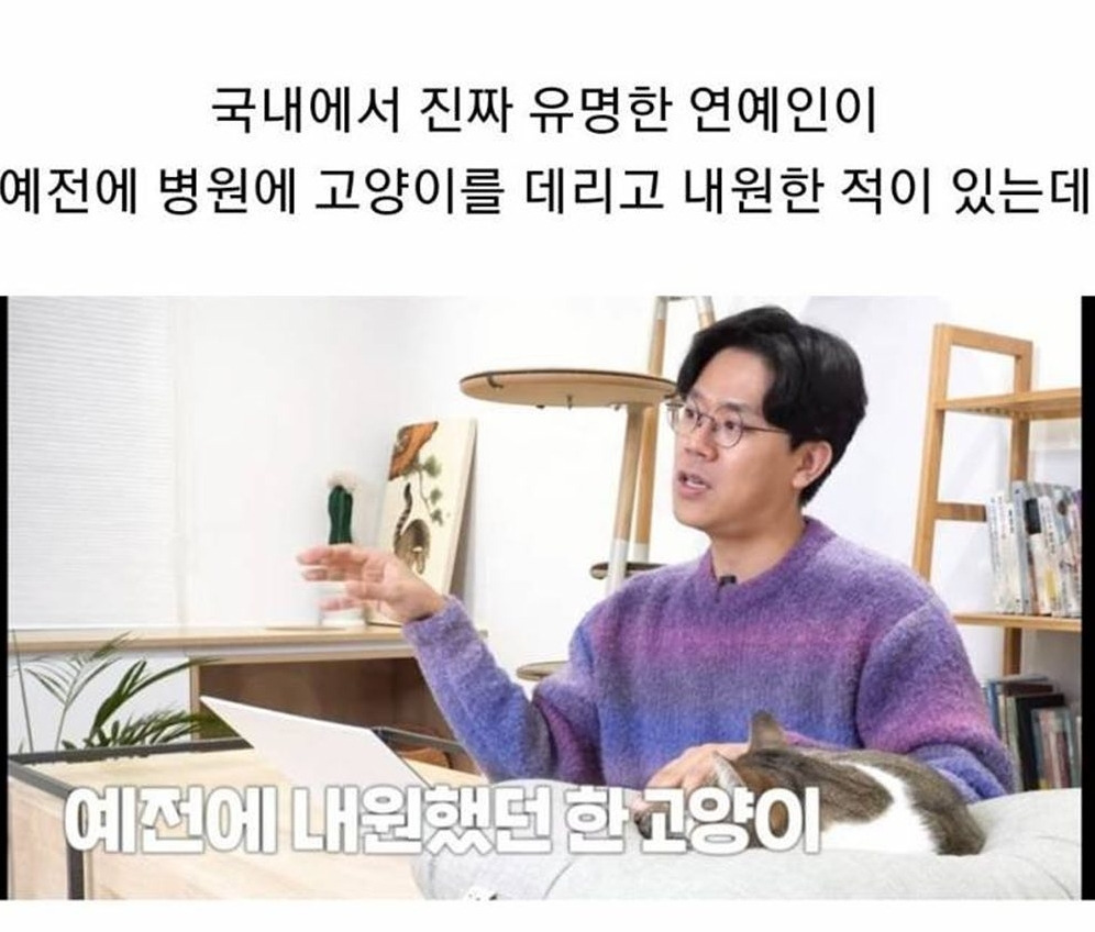유명 연예인이 데려온 고양이를 보고 기겁한 수의사 | 인스티즈