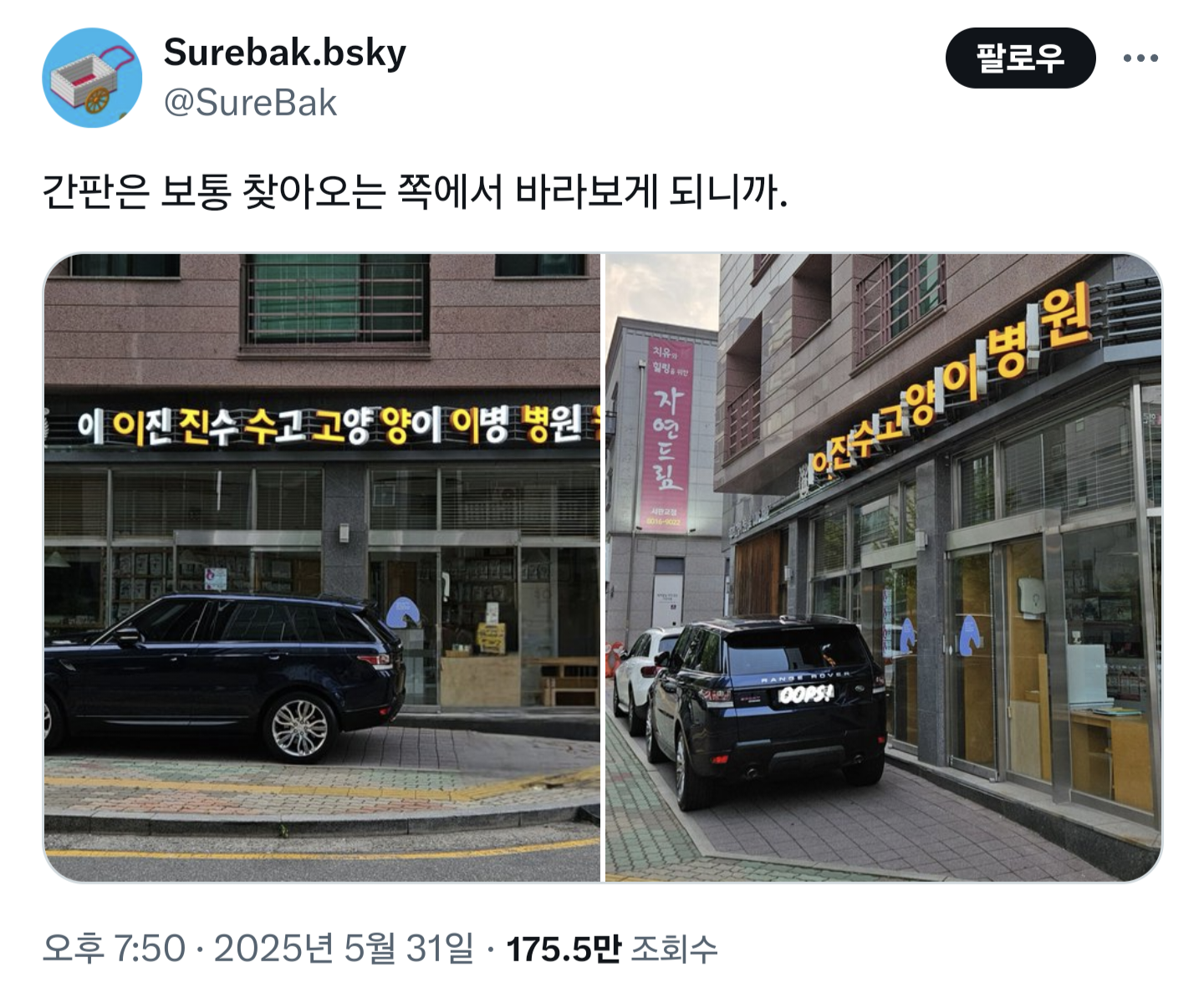 센스 좋은거 같은 고양이병원 간판 | 인스티즈