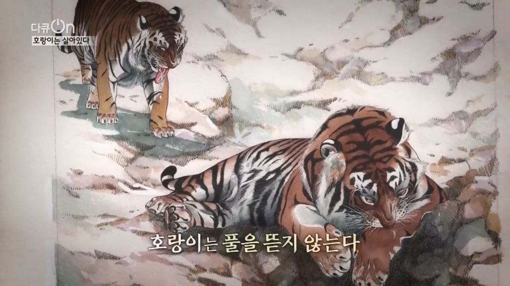 '절멸'의 '한국 호랑이'. 🐅 그 100년간의 이야기. -마지막- | 인스티즈