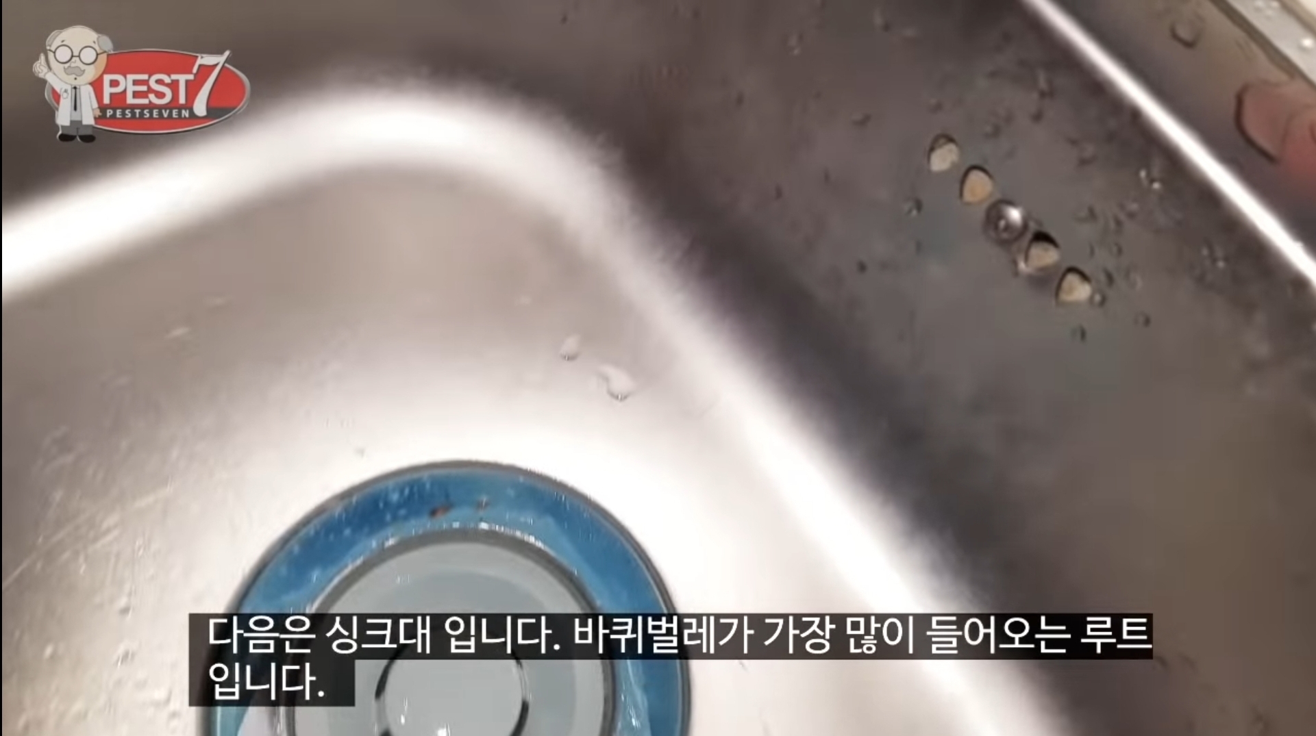 원룸 바퀴벌레 주요 유입구(벌레사진주의) | 인스티즈