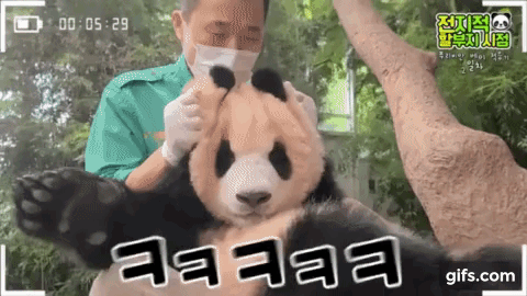 푸바오 얼굴 찌부 짤 모음 🥴 | 인스티즈