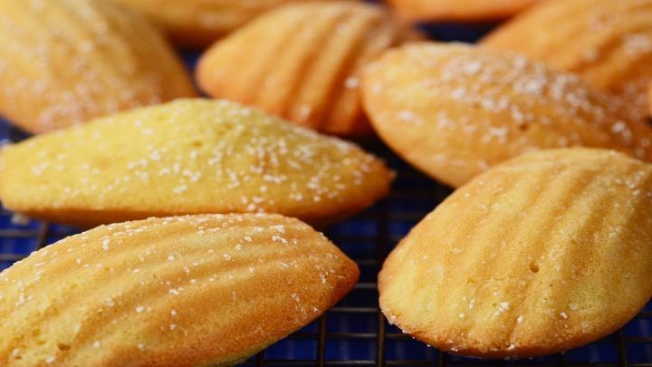 마들렌 Madeleine | 인스티즈