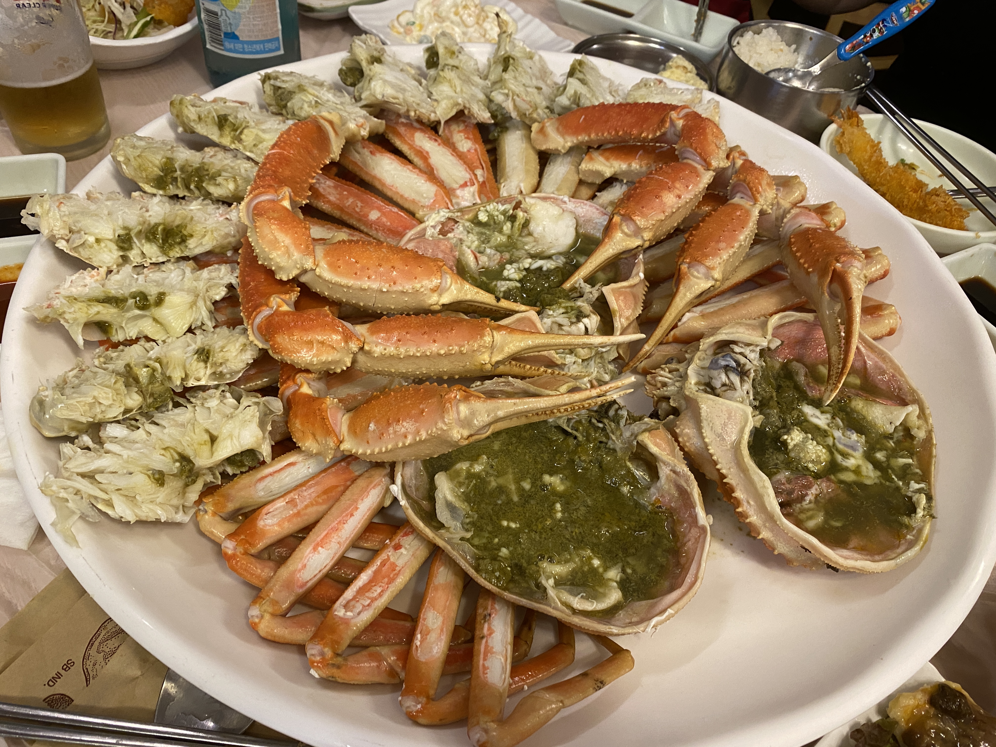 강원도 가서 먹기만 하는 강원도(속초) 쳐돌이가 먹는것들 🦑🦀🐟 | 인스티즈