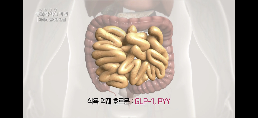 2e62f31935a7589d51fb77136f2014760dbcf2c2