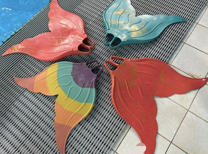 프리다이빙 배우고 넘어간다는 취미 머메이드 다이빙 | 인스티즈