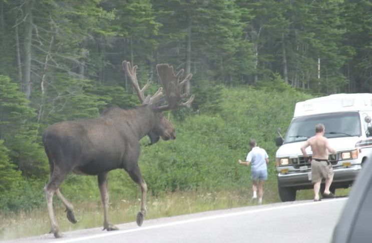 실제로 보면 개쩌는 무스 크기.wow | 인스티즈