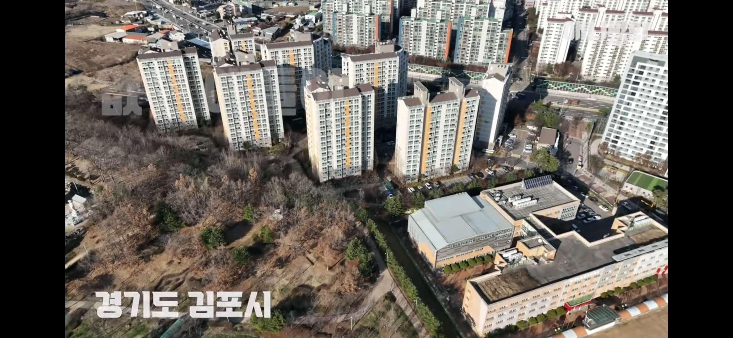 경기도 김포시 마송 휴먼시아 10단지 아파트내에 집단으로 유기된 노르웨이숲 고양이 | 인스티즈